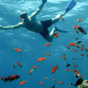 Red Sea Snorkeling - Guide Best Spots in 2026
