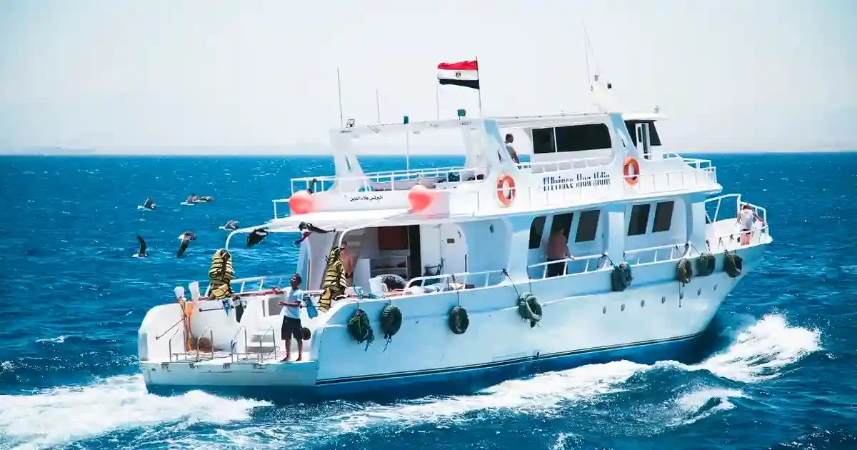 Red Sea Fishing - Guide Top Trips, Fish and Tips