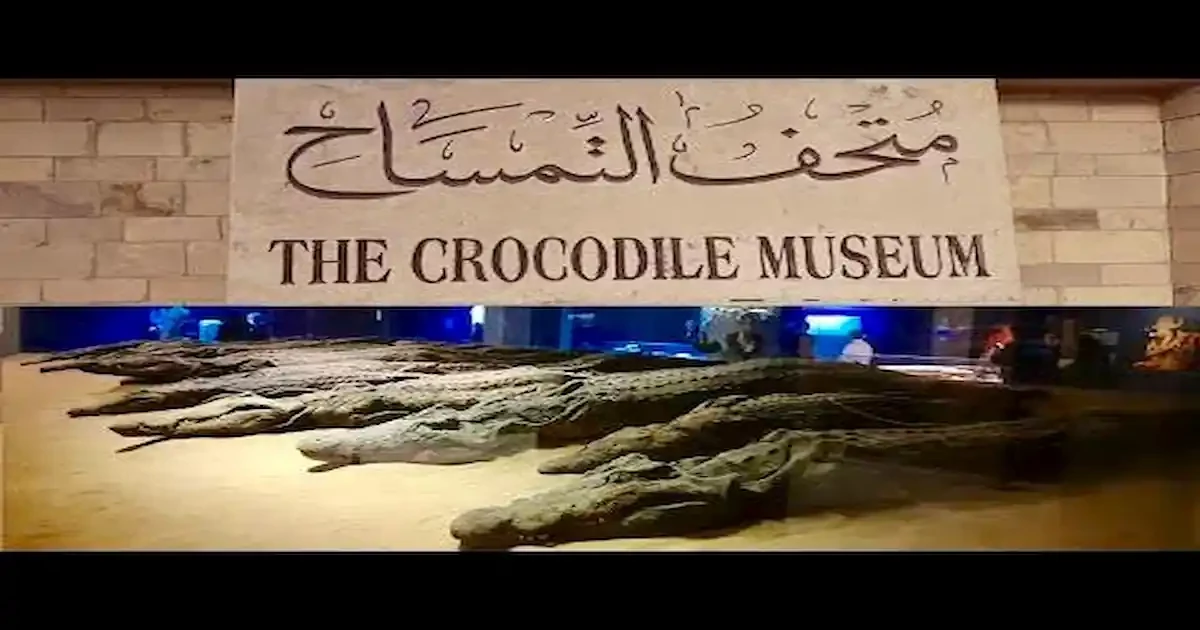 Kom Ombo Krokodilmuseum - Highlights, Infos und Tipps