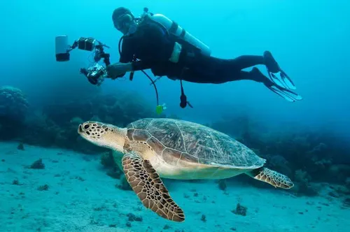 Marsa Alam Day Tours