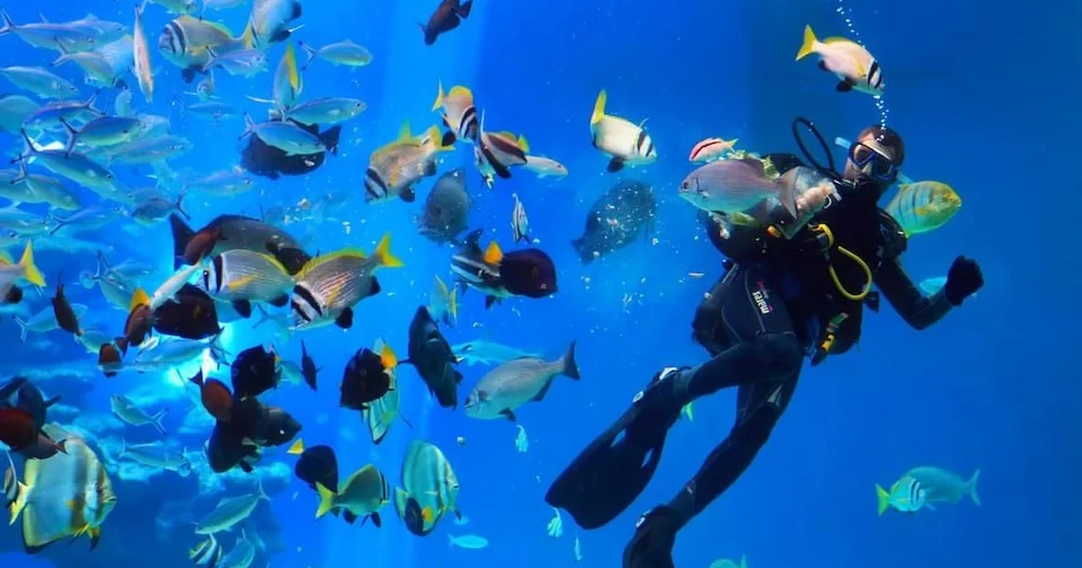 Snorkeling in Hurghada Red Sea