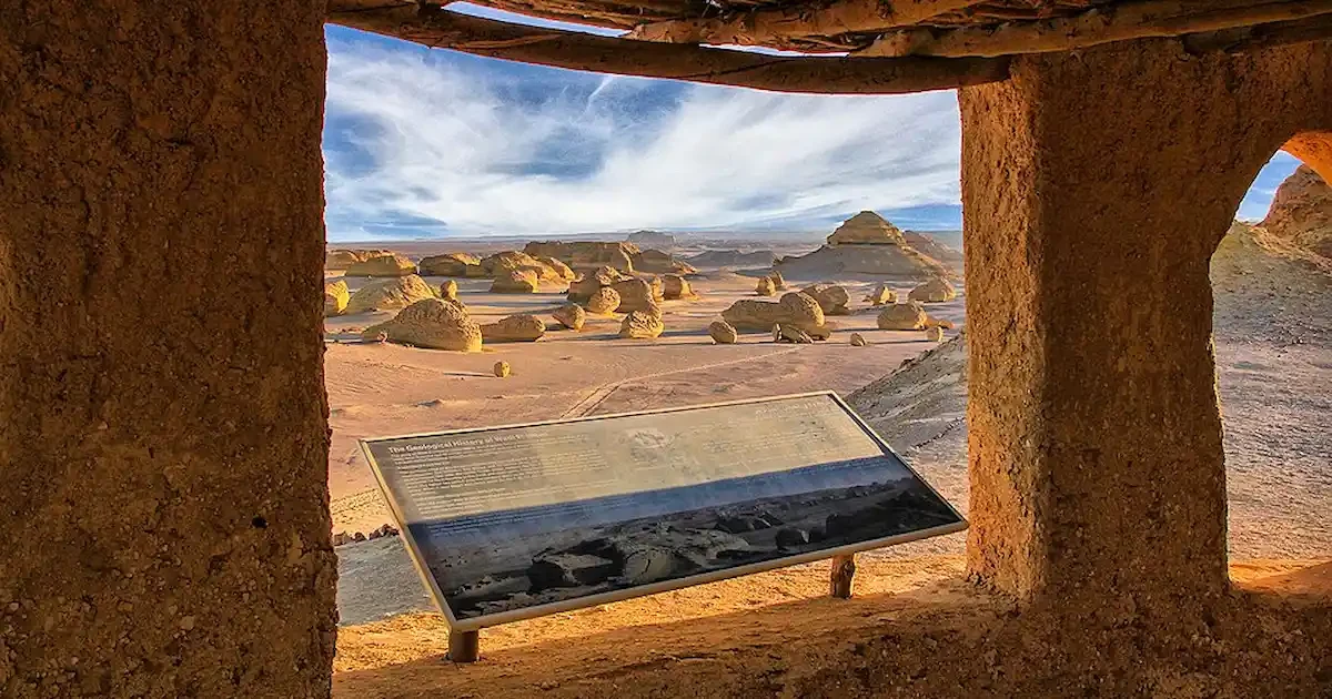 Wadi Al Hitan whale fossils Fayoum desert tour