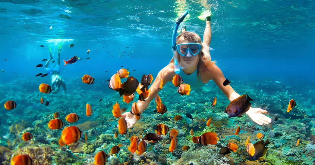 snorkeling trips Sharm El Sheikh coral reef Red Sea