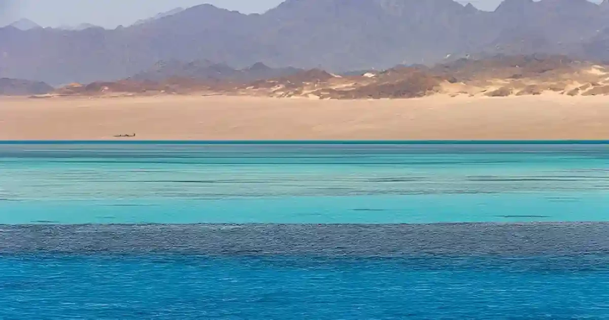 ras mohammed national park snorkeling coral reef