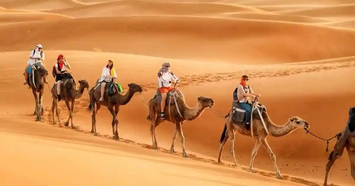 camel ride sharm el sheikh desert tour experience