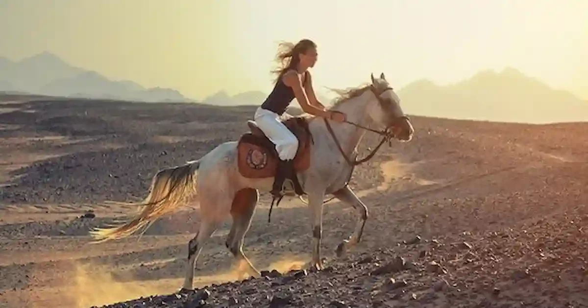 Horse riding in Sharm El Sheikh Desert with mountains