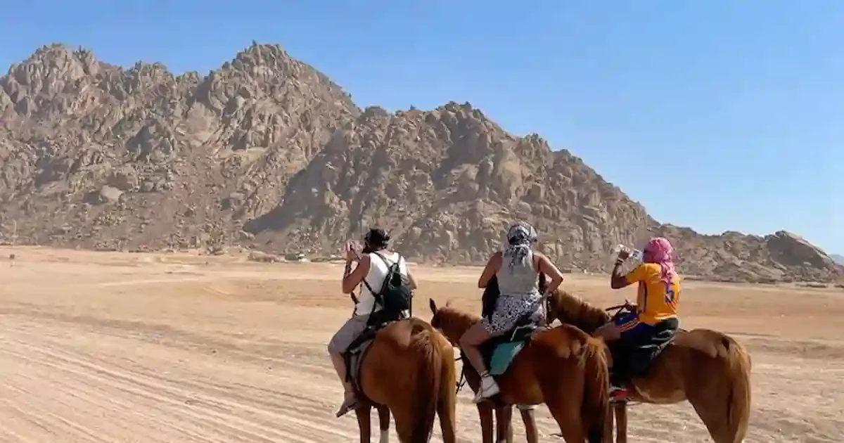 Desert safari Egypt Sharm El Sheikh horseback experience