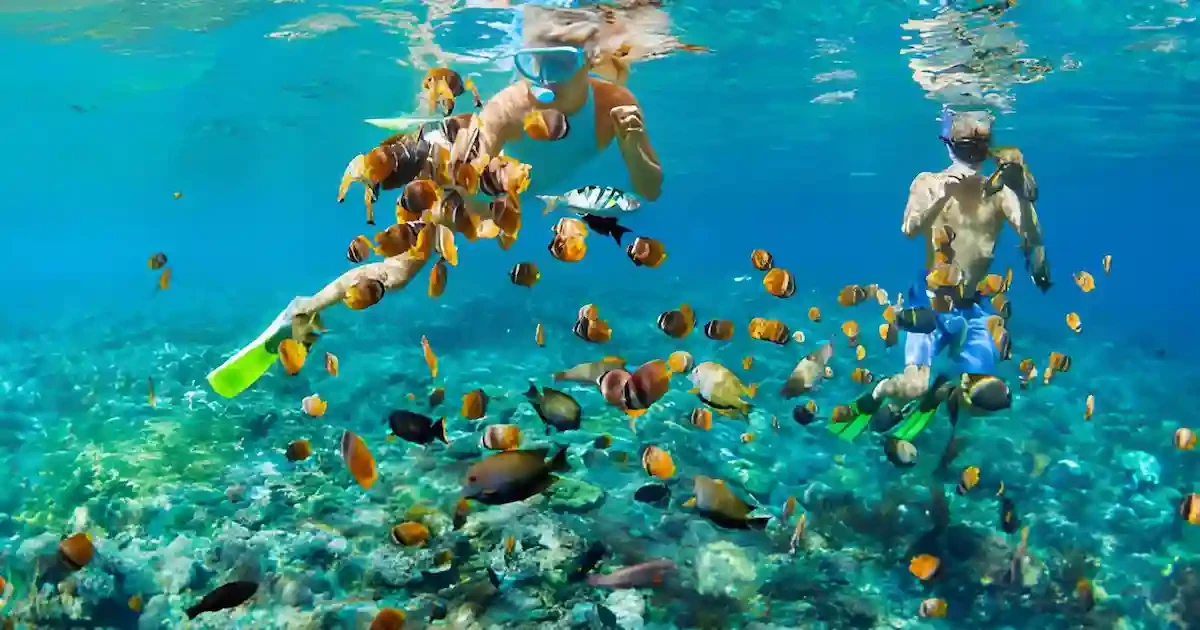 snorkeling guide assisting tourists at tiran island