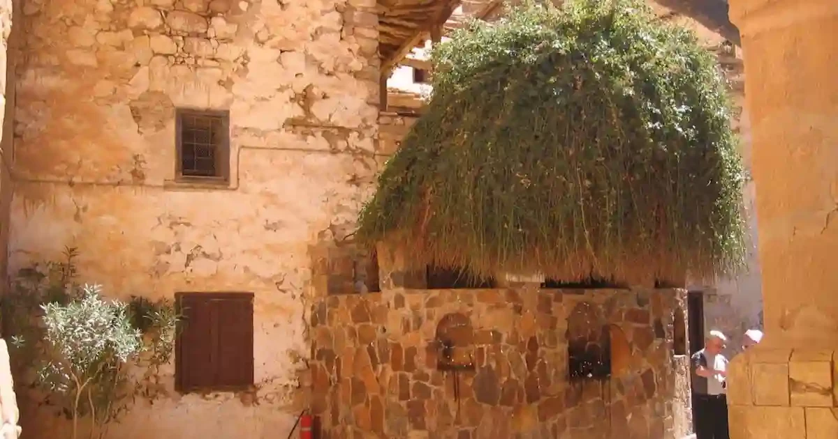 Burning Bush site Saint Catherine monastery Egypt