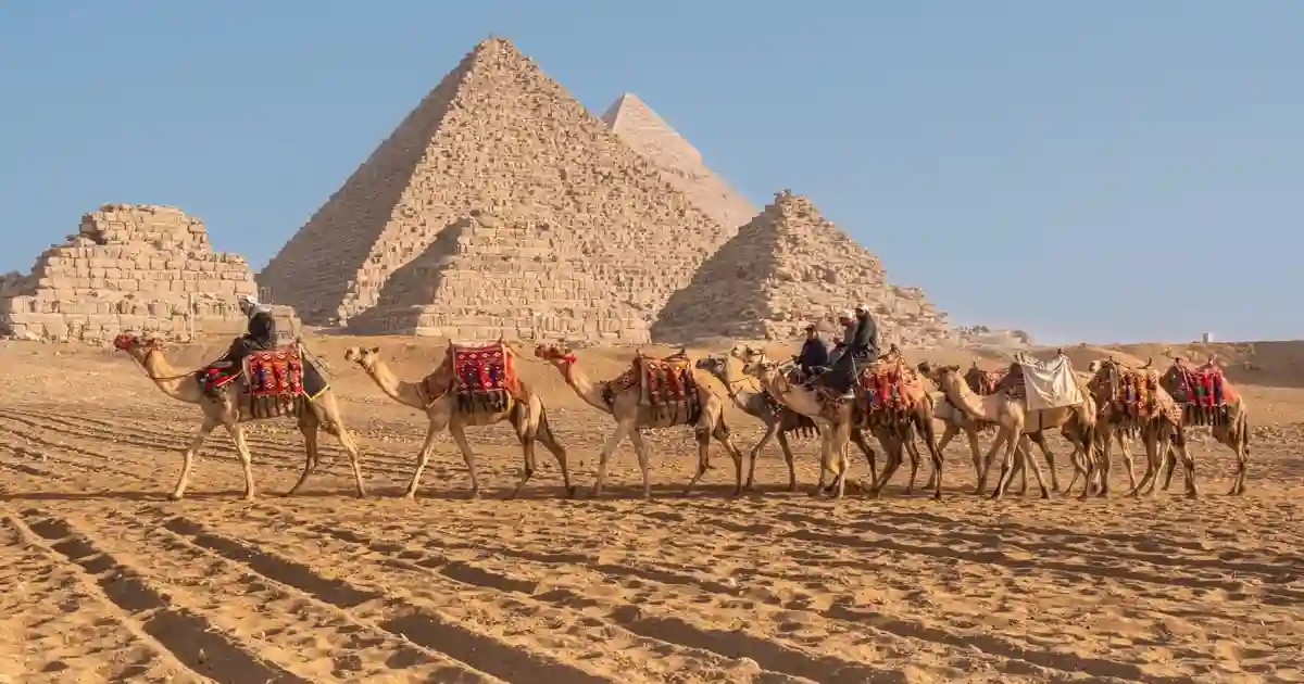 Camel ride near the Pyramids of Giza