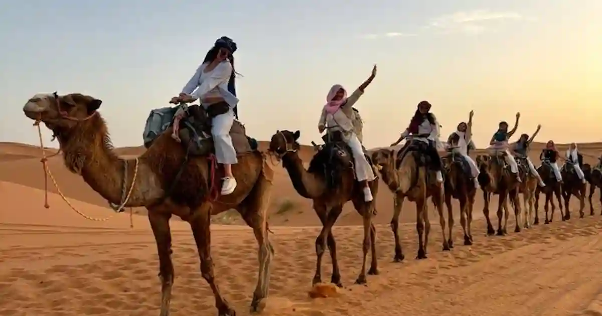 camel-ride-desert-safari-marsa-alam.jpg Camel ride during Marsa Alam desert safari