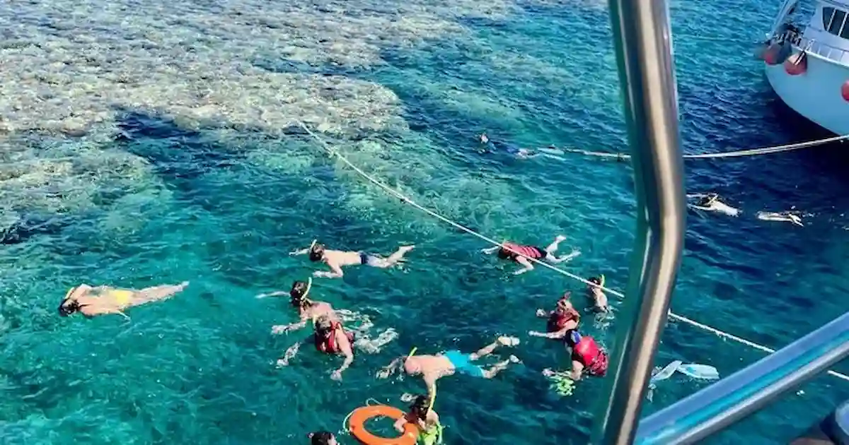 snorkeling near Hula Hula island Hurghada coral reefs