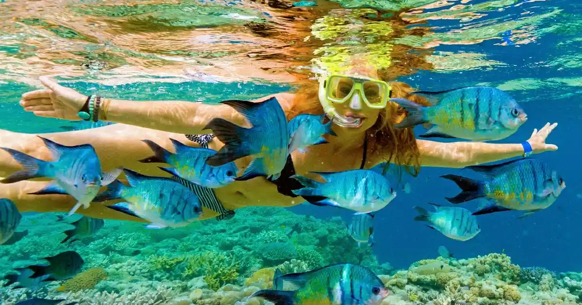 Samadai reef snorkeling excursion in Marsa Alam