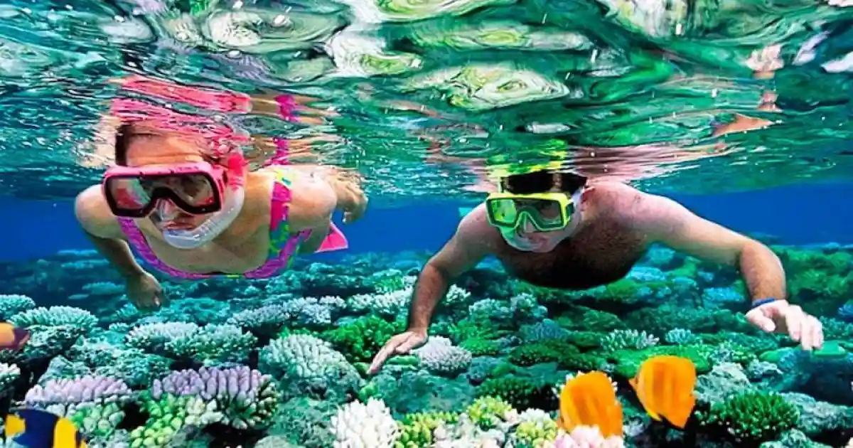 Coral reefs during Diving in Marsa Alam