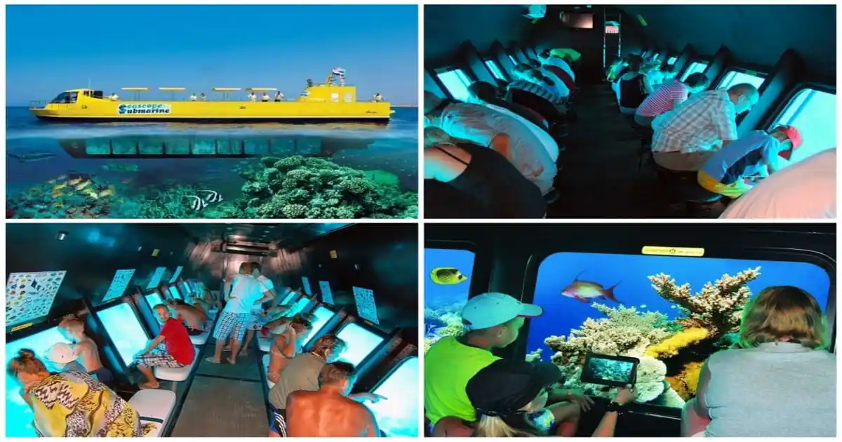 Coral reefs during submarine marsa alam tour