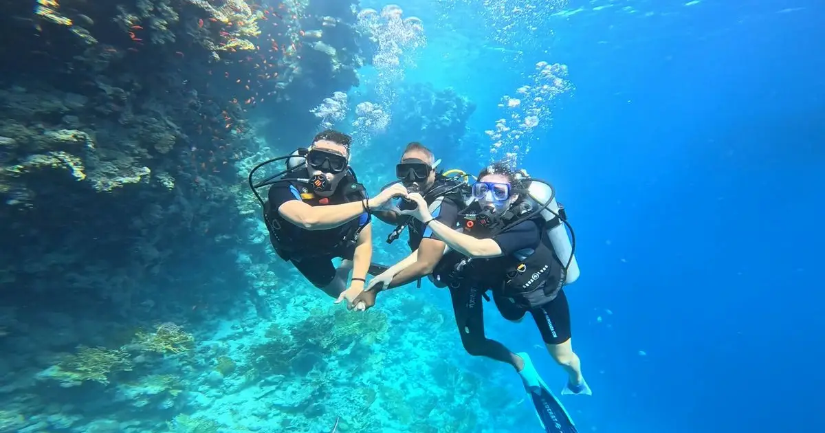 Marsa Alam snorkeling tour at Dolphin House