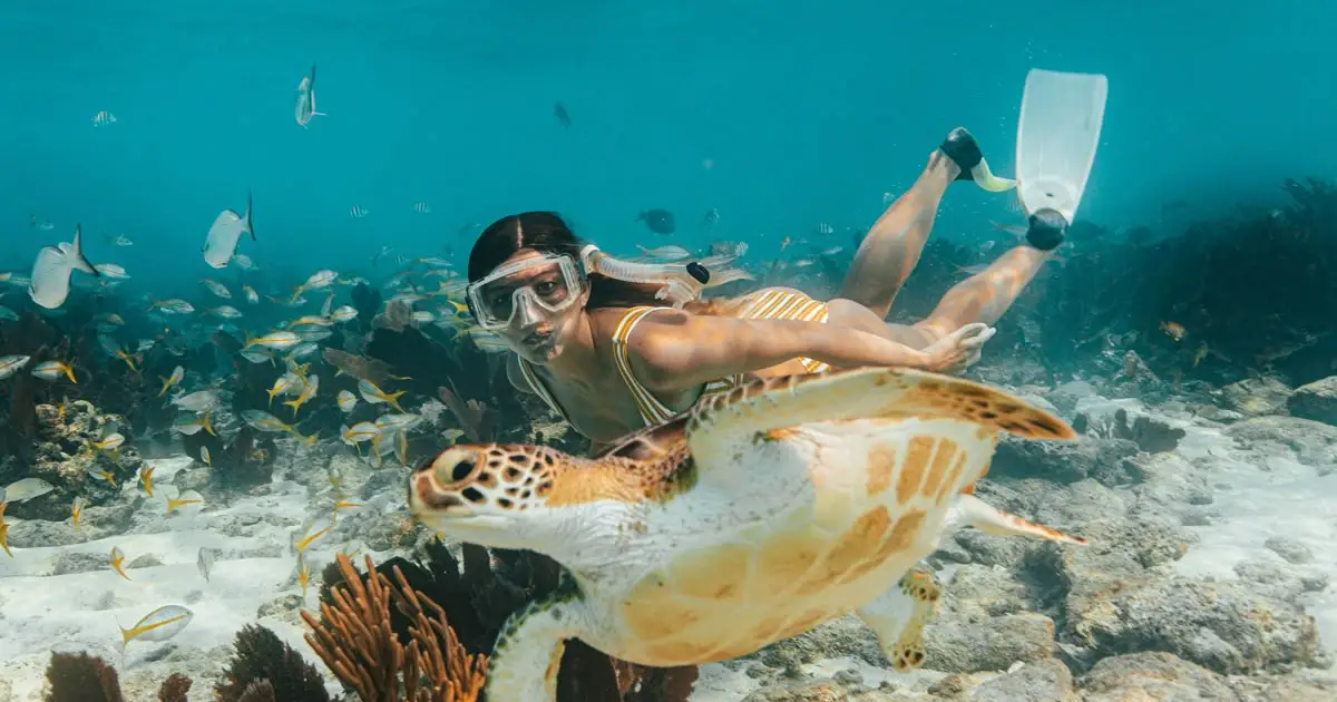 Beginner Try Scuba Diving in Marsa Alam experience