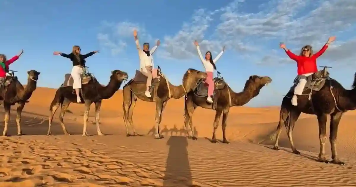 Camel riding experience during Aladin Safari Marsa Alam