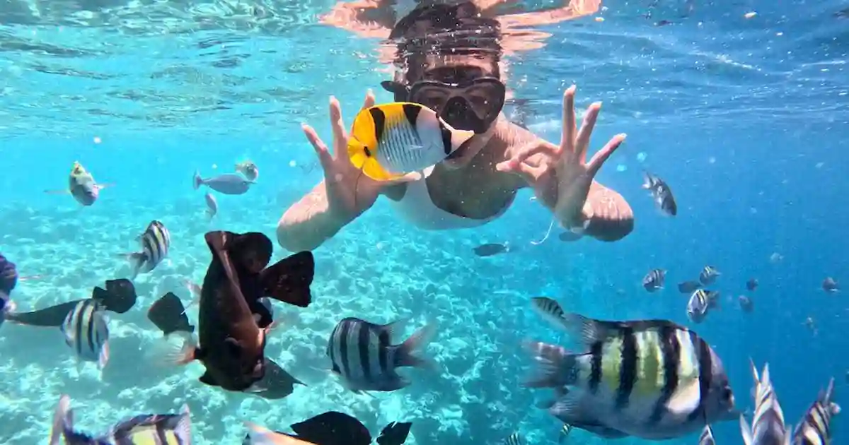 snorkeling coral reefs during Elite VIP Cruise Hurghada