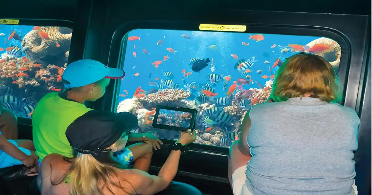 Coral reefs during submarine marsa alam tour