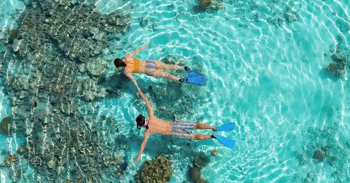 Full Day Sharm El Luli Snorkeling Tour