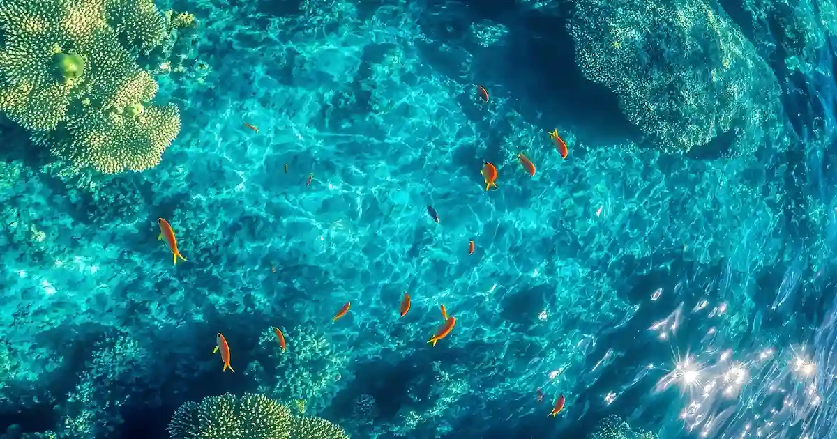 crystal clear waters Red Sea Hurghada cruise