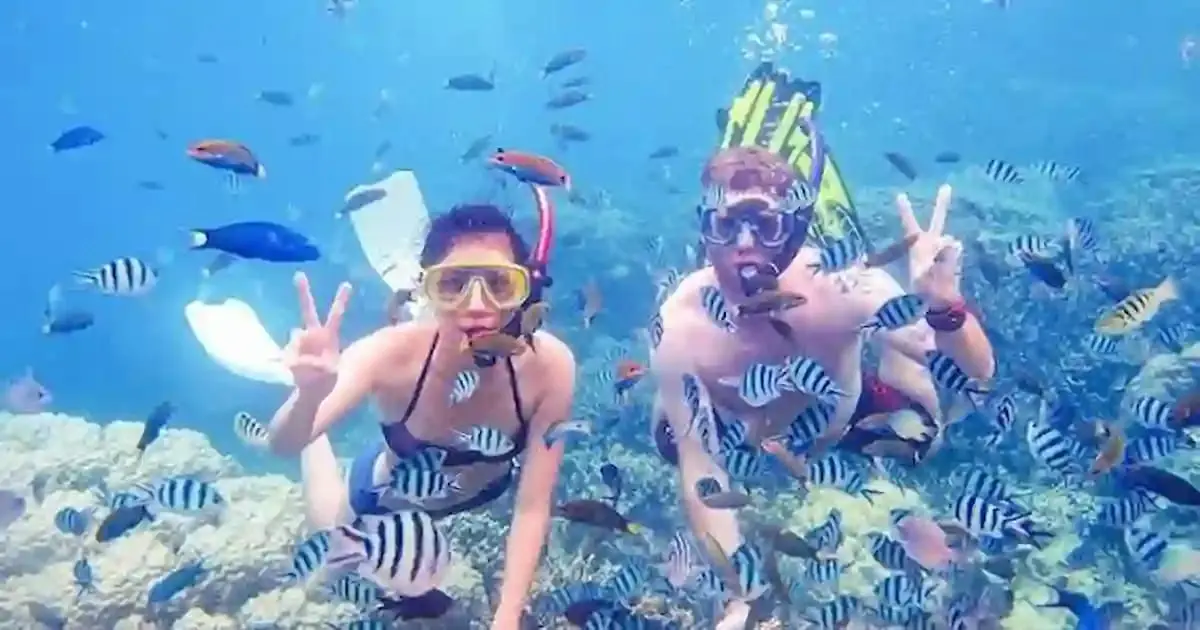 depicts two people snorkeling surrounded Hurghada Ausflüge - depicts two people snorkeling surrounded by a large school of fish