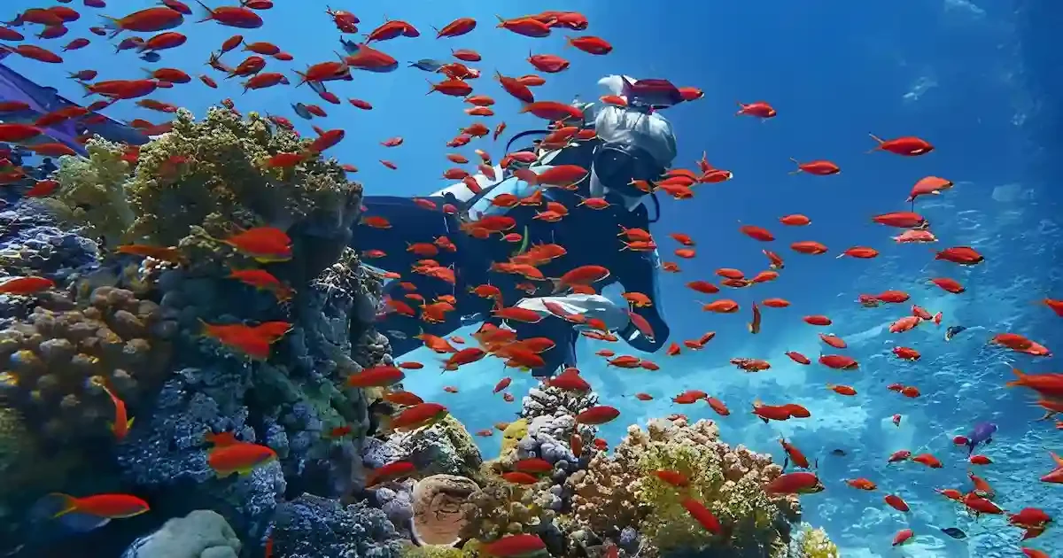 Cairo, Luxor and Hurghada tour with sleeper train journey and Red Sea beach stay in Egypt