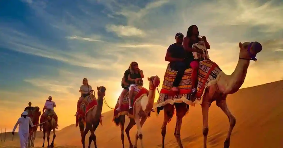 Camel ride experience near the Giza pyramids during day tours