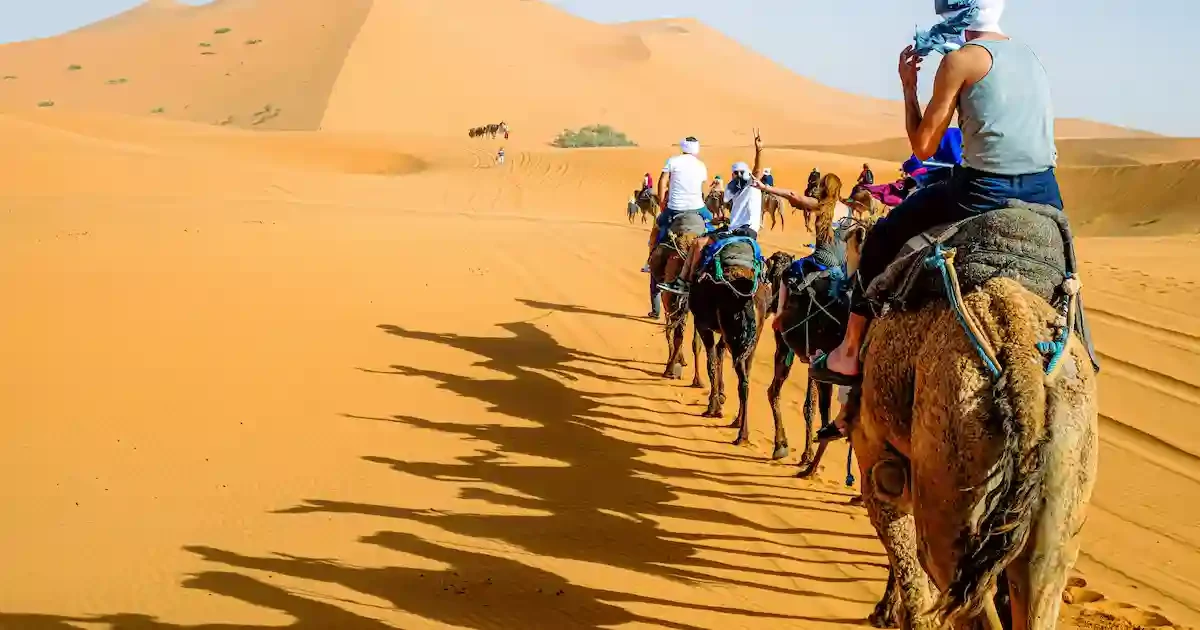 Camel ride in desert safari from Sharm El Sheikh dunes