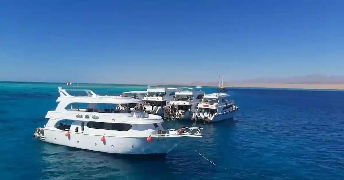 boat trip to ras mohamed and white island