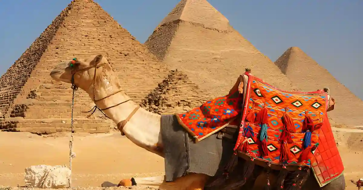Day Tour Giza Pyramids by Camel in Egypt with panoramic pyramid views