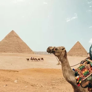 Egypt Classic Tour – Cairo, Luxor & Aswan Highlights