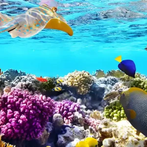 10 Days Egypt Group Tour with Cairo & Hurghada