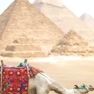 Tourists visiting Pyramids of Giza on budget Egypt tour