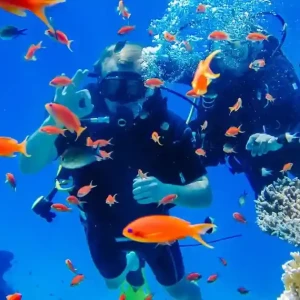Sharm El-Sheikh Scuba Diving