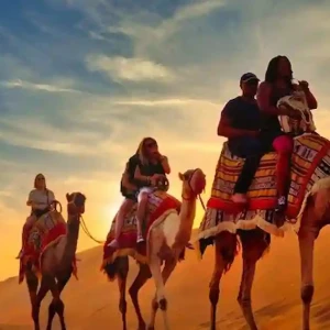 Pyramids Day Tours | Giza Pyramids & Sphinx Tour