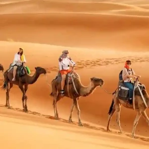 Desert Safari Egypt Sharm El Sheikh