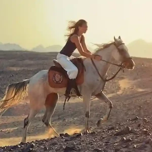 Sharm El Sheikh Desert – Horse Riding Experience