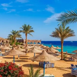 Orange Bay Island: Best Snorkeling Day Trip in Egypt