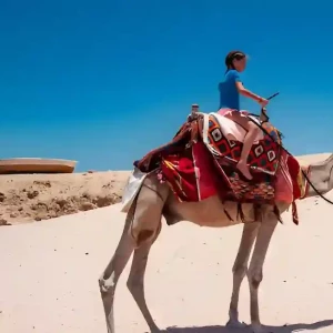 Marsa Alam camel ride in the desert landscape