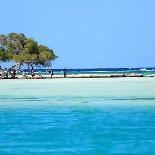 Peaceful beach in Wadi El Gemal Marsa Alam