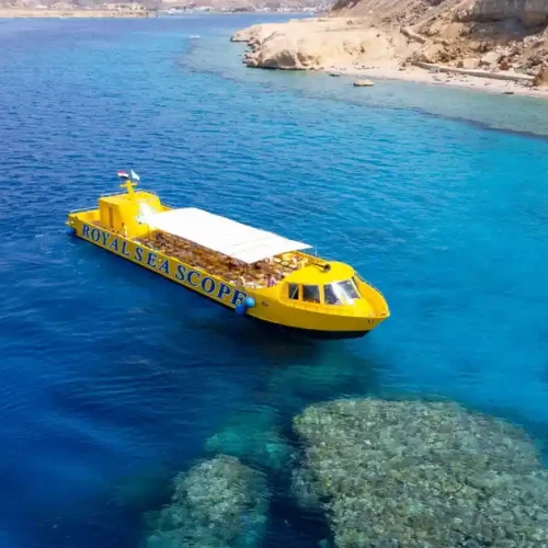 Royal seascope Port Ghalib marina excursion