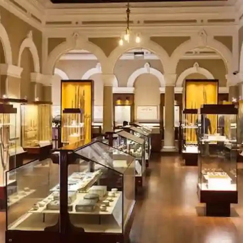 Tour to the National Museum of Egyptian Civilization and Cairo Citadel