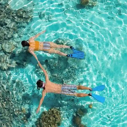 Full Day Sharm El Luli Snorkeling Tour