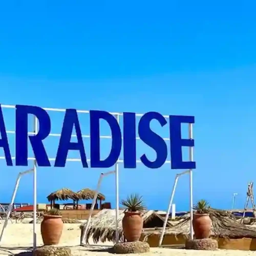 Paradise Island Snorkeling – Top Red Sea Experience