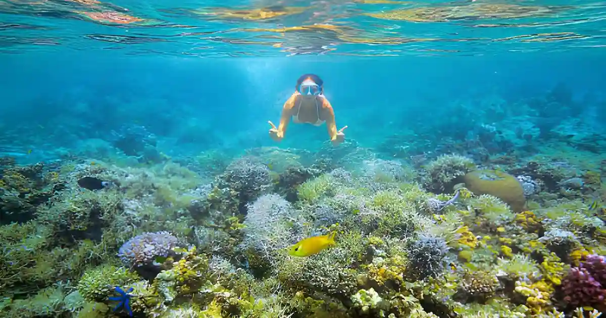 red sea snorkeling egypt coral reef.jpg
