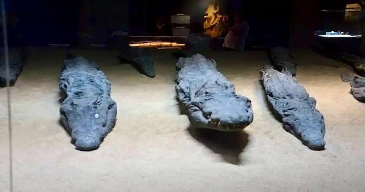 12390